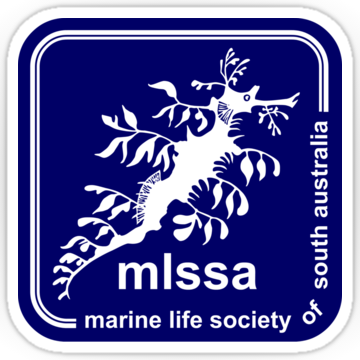 MLSSA logo sticker classic