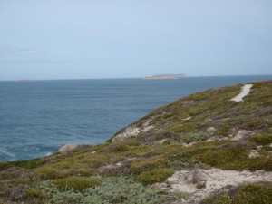 View of Seal Island & Althorpe Islands