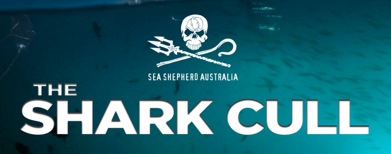 Sea Shepherd 'The Shark Cull' documentary film