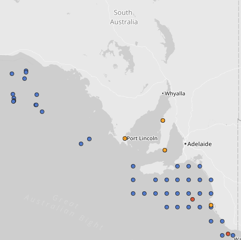 Common Sawshark occurrences in SA - Source: Atlas of Living Australia 2014